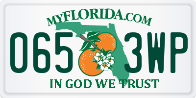 FL license plate 0653WP