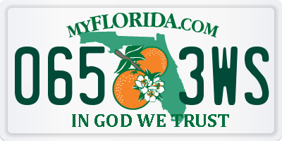 FL license plate 0653WS