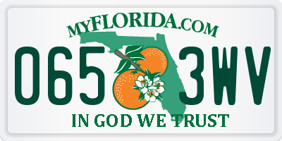 FL license plate 0653WV