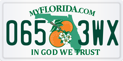 FL license plate 0653WX