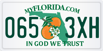 FL license plate 0653XH