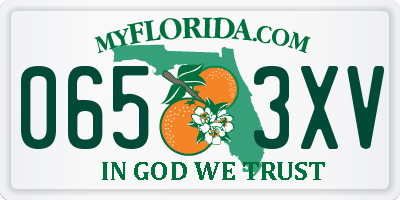 FL license plate 0653XV