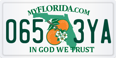 FL license plate 0653YA