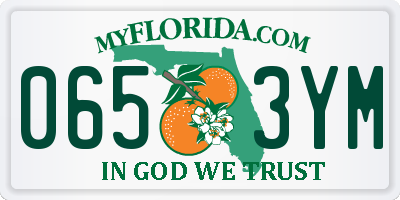 FL license plate 0653YM