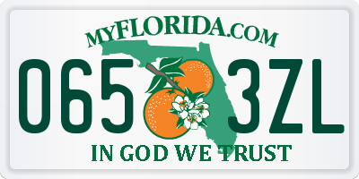 FL license plate 0653ZL