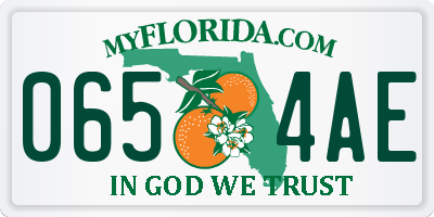 FL license plate 0654AE