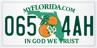 FL license plate 0654AH