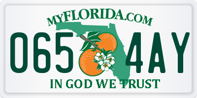FL license plate 0654AY