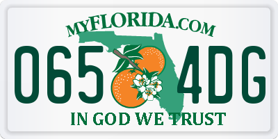 FL license plate 0654DG