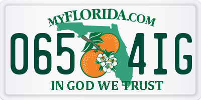 FL license plate 0654IG