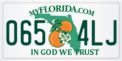 FL license plate 0654LJ