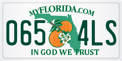 FL license plate 0654LS
