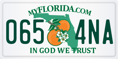 FL license plate 0654NA