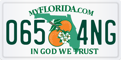FL license plate 0654NG