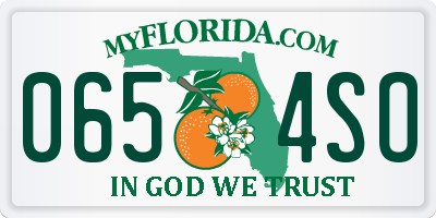 FL license plate 0654SO