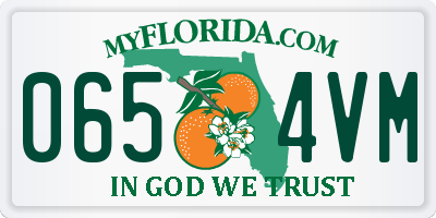 FL license plate 0654VM