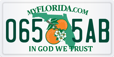 FL license plate 0655AB
