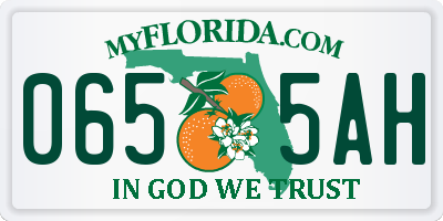 FL license plate 0655AH