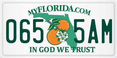 FL license plate 0655AM