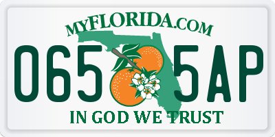 FL license plate 0655AP