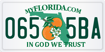 FL license plate 0655BA