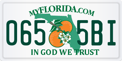 FL license plate 0655BI