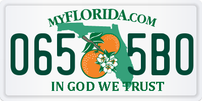 FL license plate 0655BO