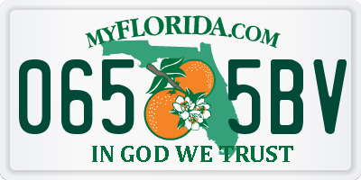 FL license plate 0655BV