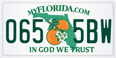 FL license plate 0655BW
