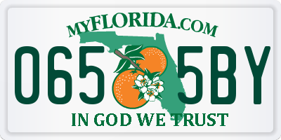 FL license plate 0655BY