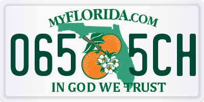 FL license plate 0655CH