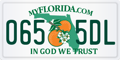 FL license plate 0655DL