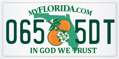 FL license plate 0655DT