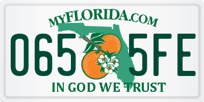 FL license plate 0655FE