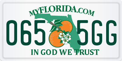 FL license plate 0655GG