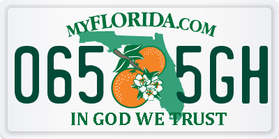 FL license plate 0655GH