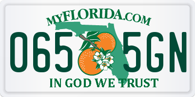 FL license plate 0655GN
