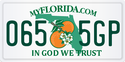 FL license plate 0655GP