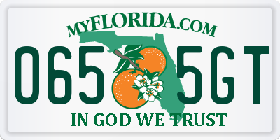 FL license plate 0655GT
