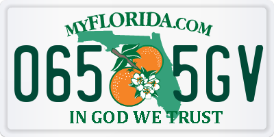 FL license plate 0655GV