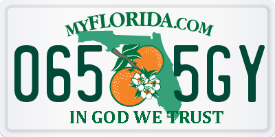 FL license plate 0655GY