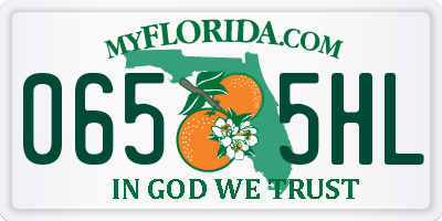 FL license plate 0655HL