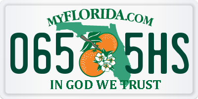 FL license plate 0655HS