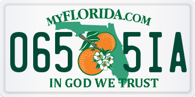 FL license plate 0655IA