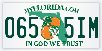 FL license plate 0655IM