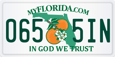 FL license plate 0655IN