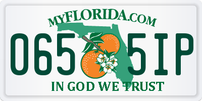 FL license plate 0655IP