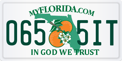 FL license plate 0655IT