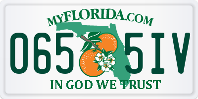FL license plate 0655IV