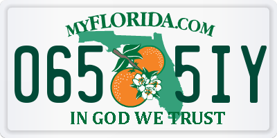 FL license plate 0655IY